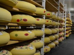 fromages